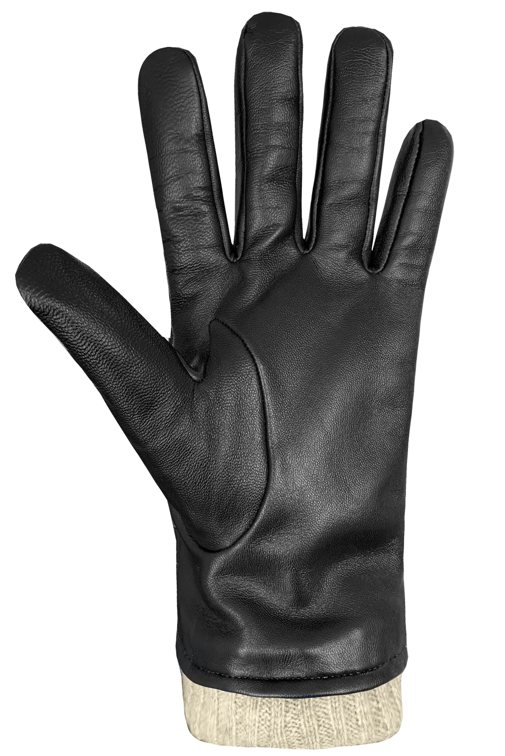 Auclair Dario Leather Gloves in Black Cognac