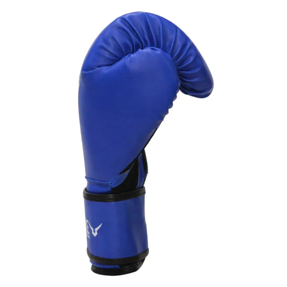 Invincible Classic Training Boxing Gloves (Blue)